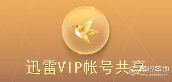 迅雷VIP会员账号免费-2月21日 17:00更新