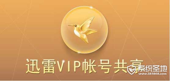 迅雷vip账号共享5月8日更新