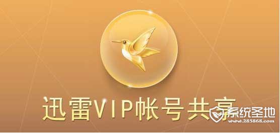迅雷vip账号共享5月10日更新