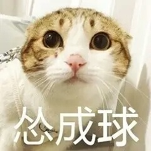 猫猫怂表情包大全无水印版