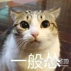 猫猫怂表情包大全