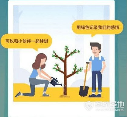 支付宝怎么合种树