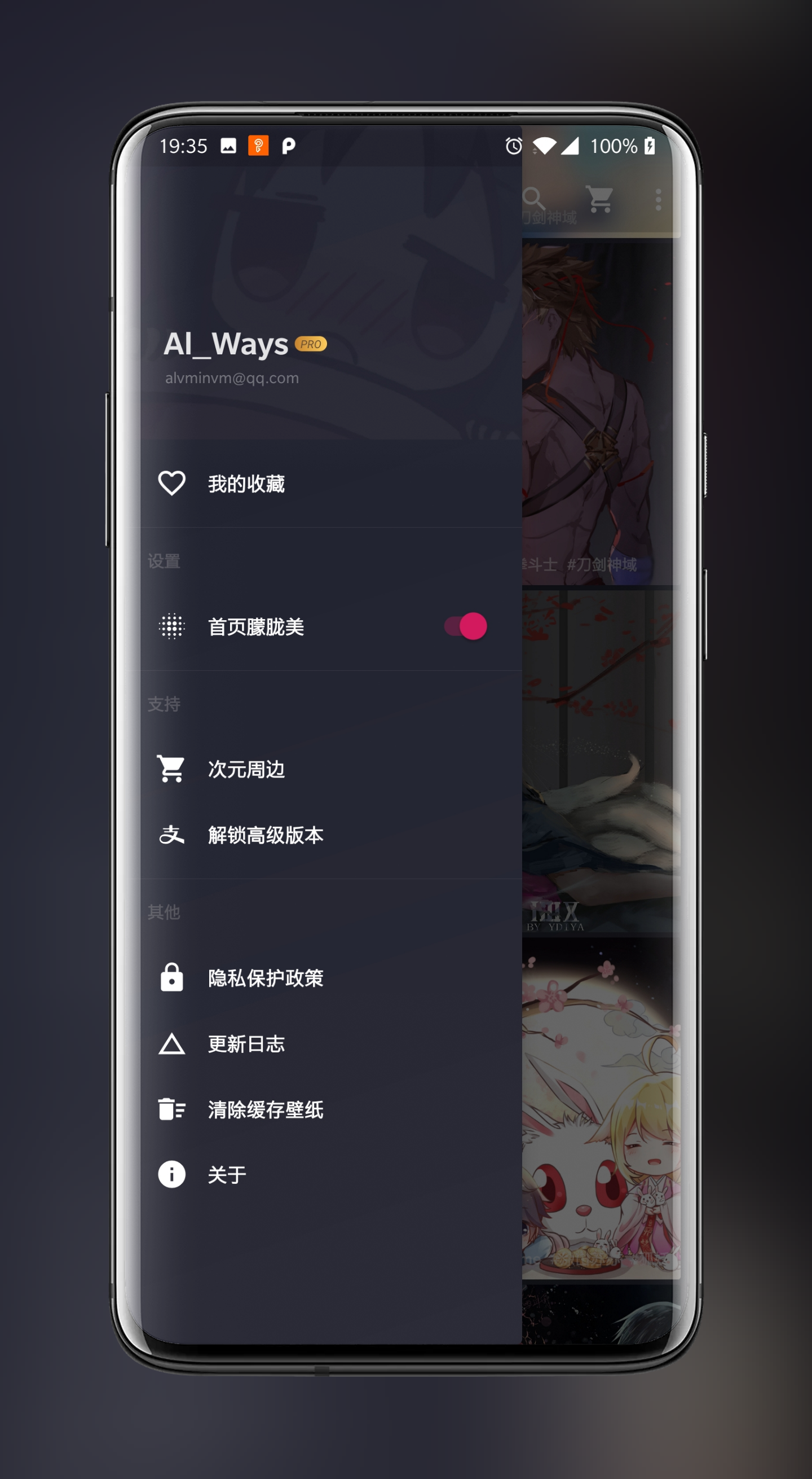 次元壁纸专业版 V2.4.0 安卓破解版截图57