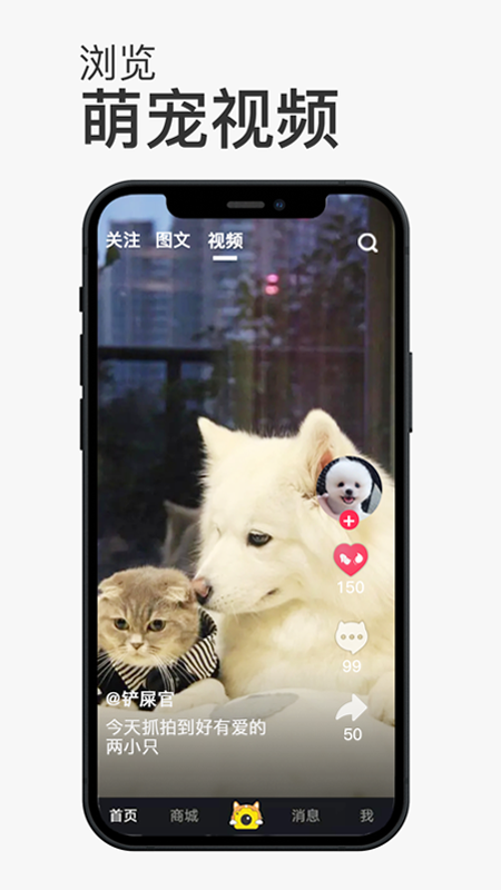 熊猫绘画 V1.3.0 安卓版截图29