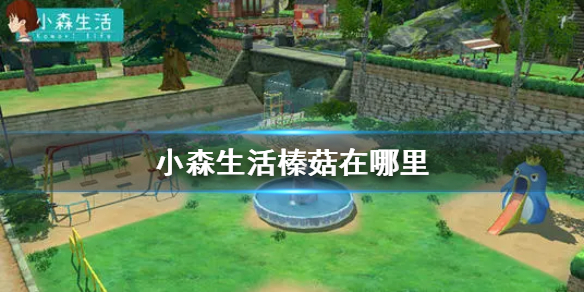 小森生活
