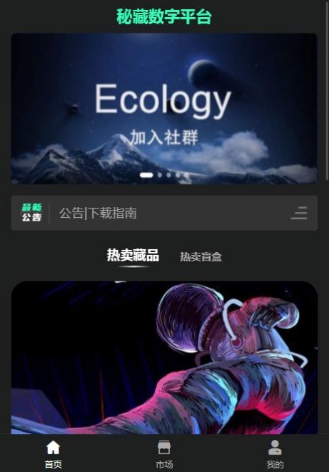 秘藏安卓版截图3