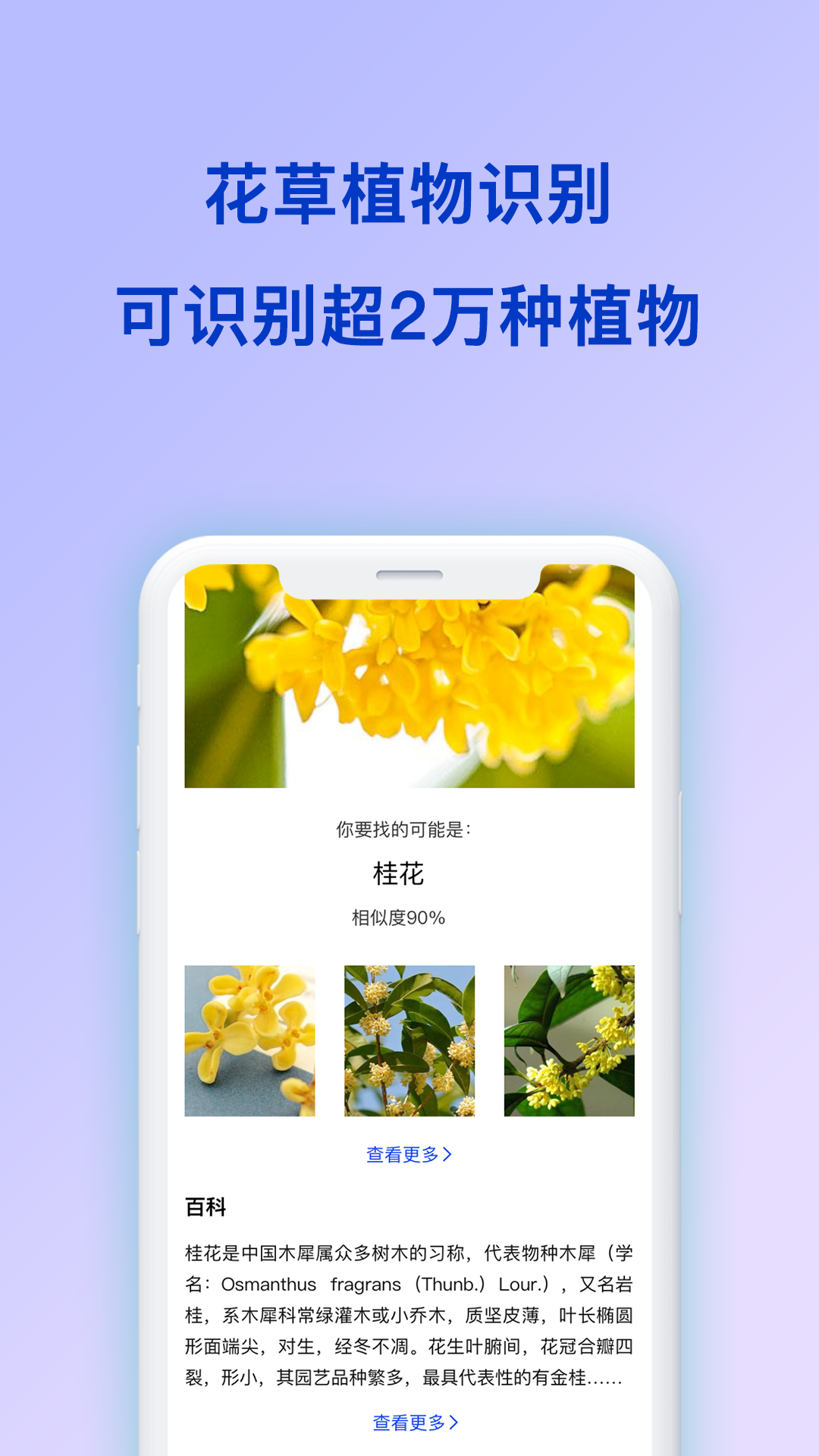 扫描识图正式版截图3