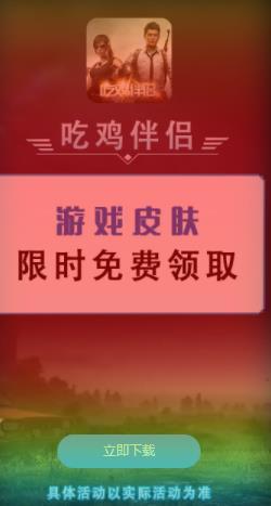 吃鸡伴侣