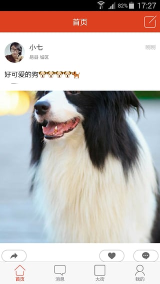 本地生活圈(小巷)官方正版截图5