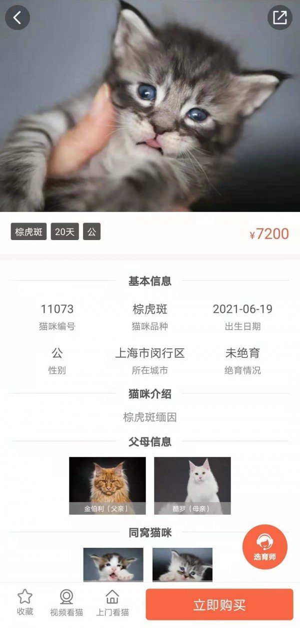 家连猫舍官方正版截图3