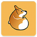 Corgi ios版