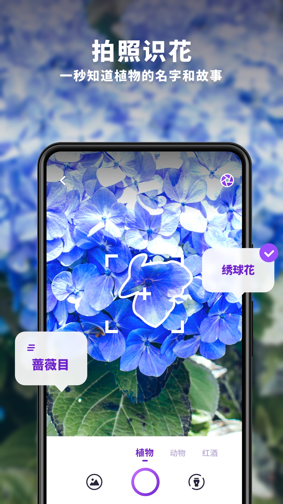趣扫破解版截图2
