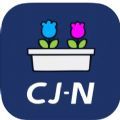 CJN简洁流畅智能聊天安卓版