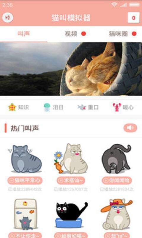 猫叫仿生器破解版截图3