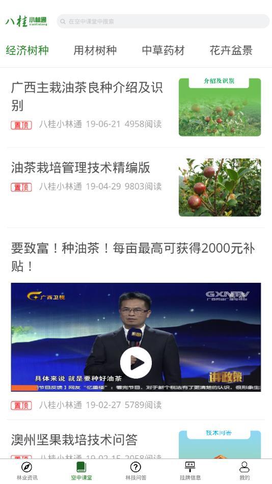 八桂小林通官方版截图3