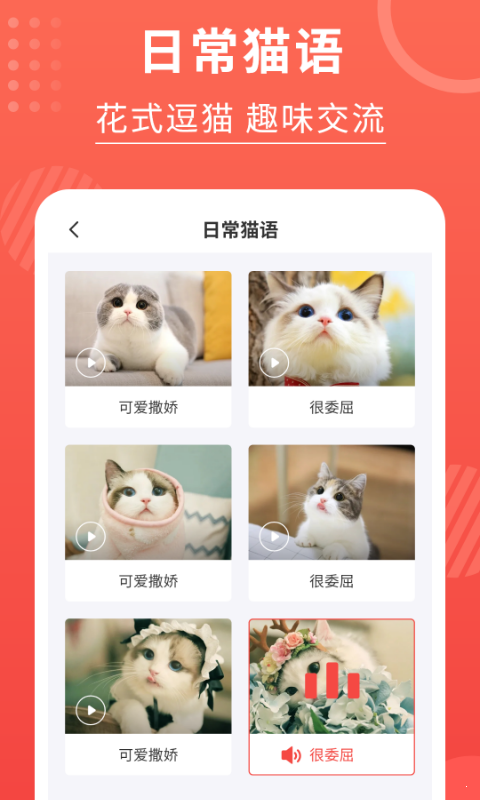喵星人翻译器正式版截图3