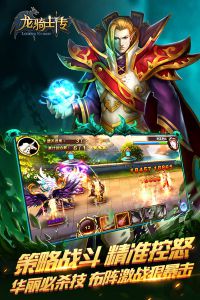 龙骑士传官方正版截图2