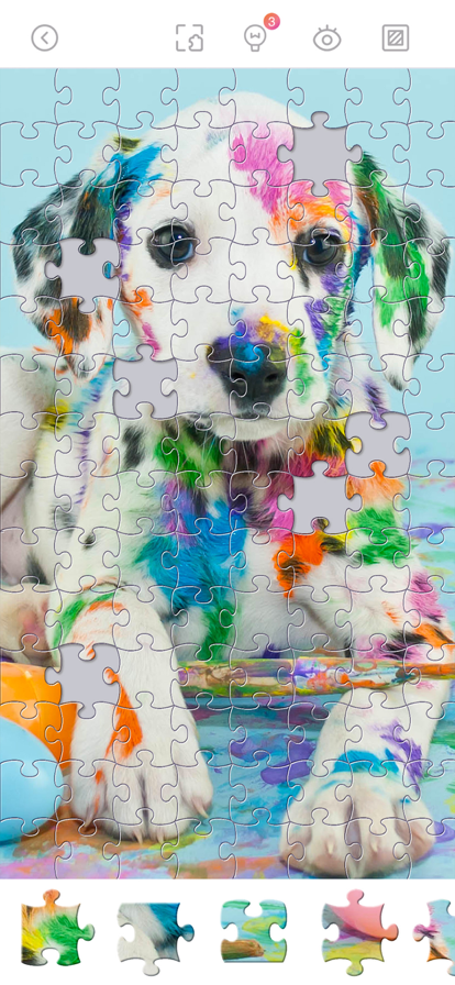 Jigsaw Puzzles Daily