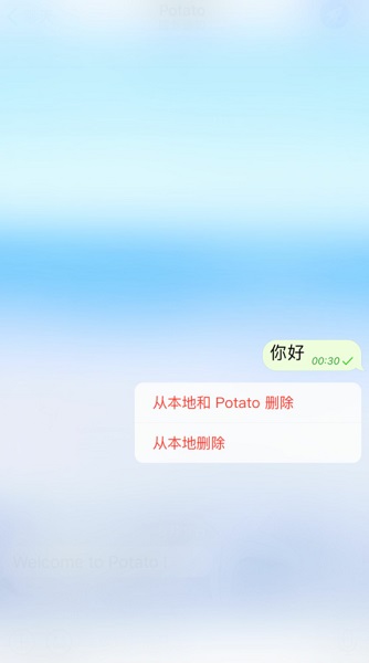 potato chat