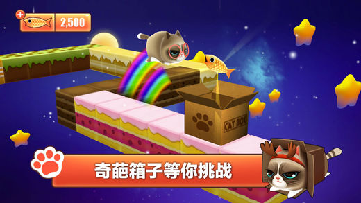 猫小盒