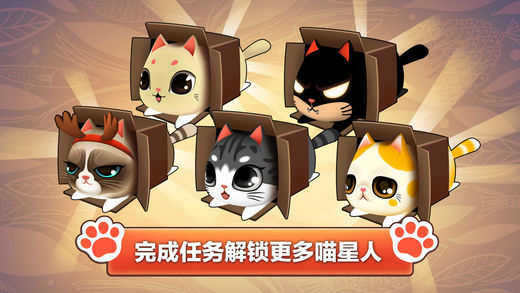 猫小盒