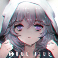 灵魂潮汐安卓版