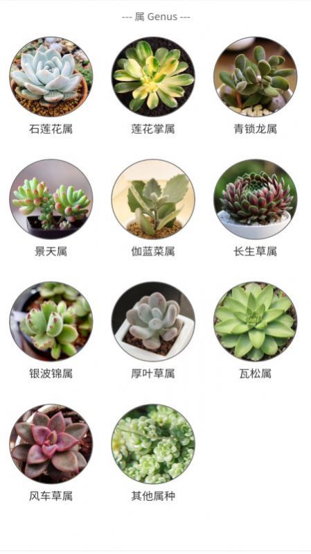 多肉植物陪护记破解版截图3