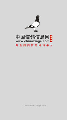 中国信鸽信息网手机版截图4