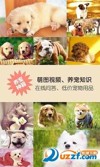 萌犬约汉化版截图4