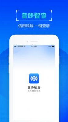 普咚智查网页版截图2