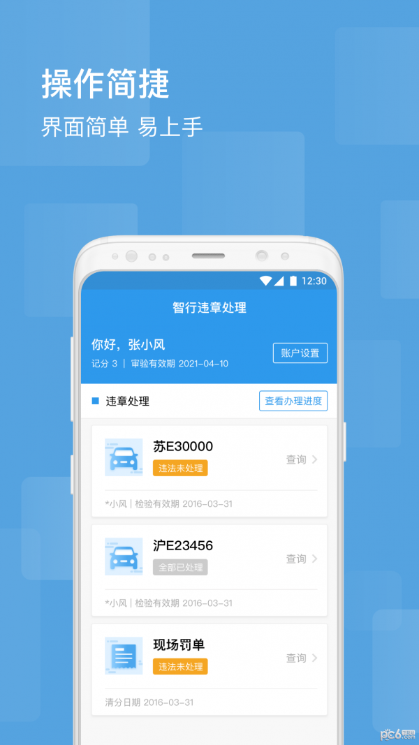 智行违章处理网页版截图2