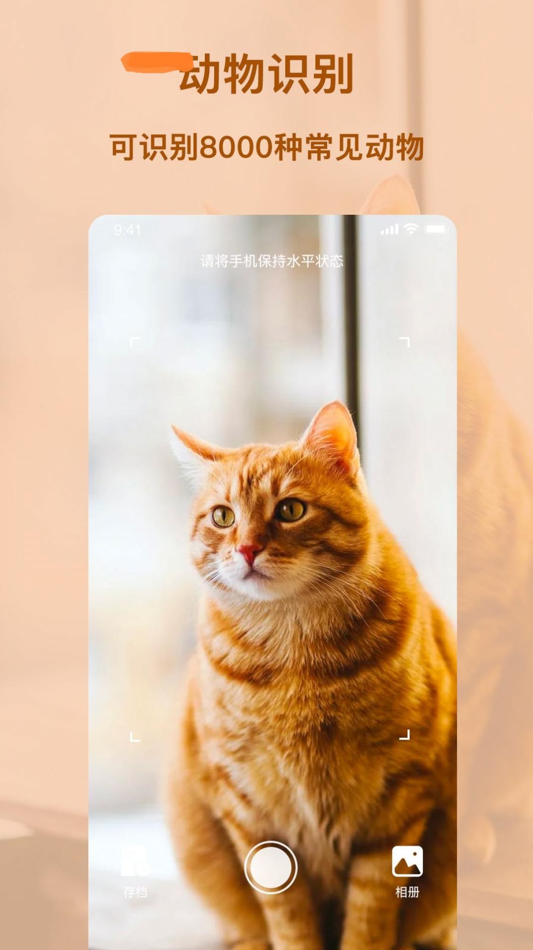 识物王正式版截图3