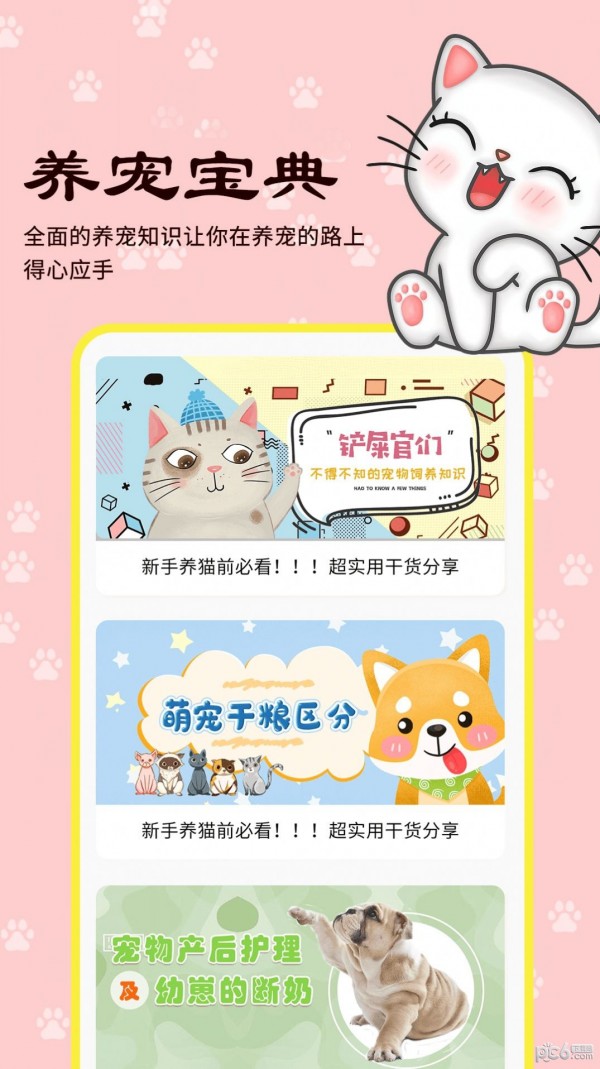 橙猫ios版截图3