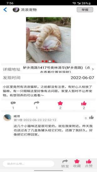 流浪宠物无限制版截图3