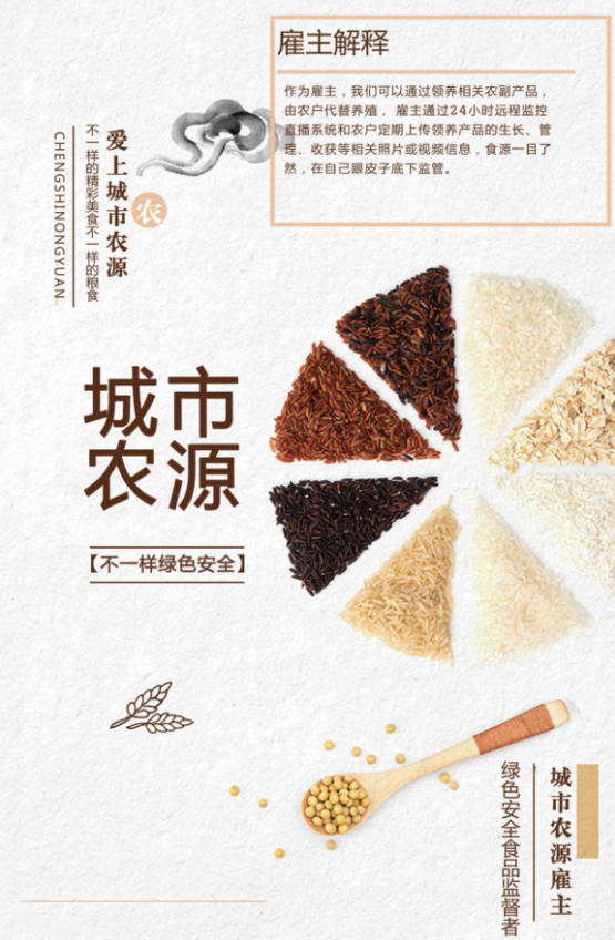 城市农源汉化版截图2