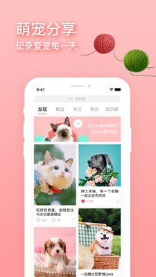 卡多格宠物最新版截图2