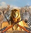 非洲丛林狩猎安卓版
