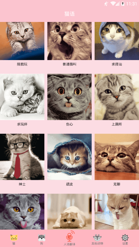 喵喵转换精简版截图3