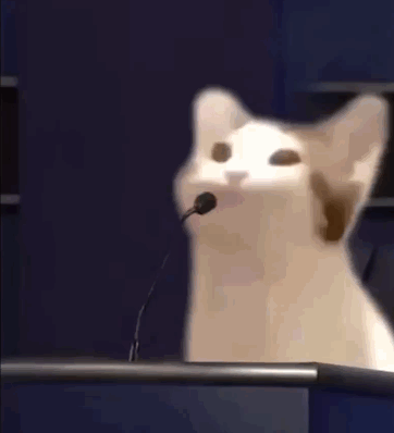 popcat啵嘴猫表情包汉化版截图2