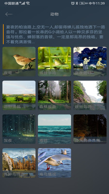 睡眠小镇正式版截图2