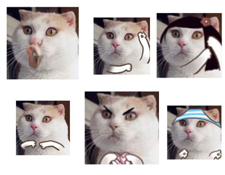 猫咪QQ表情