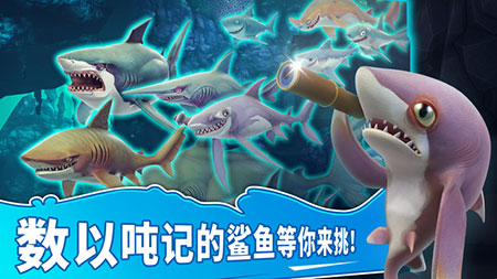 饥饿鲨:世界ios版2