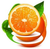 橙子视频安卓会员版
