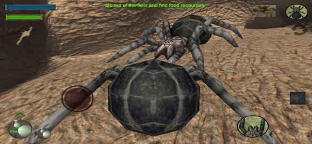 蜘蛛殖民地模拟器