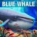 深海蓝鲸模拟安卓版