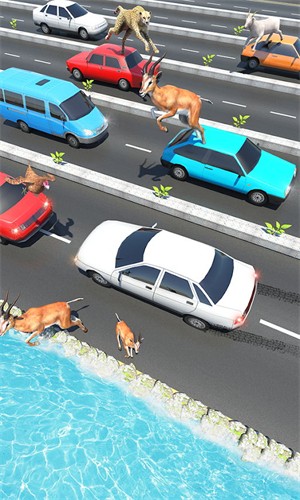 动物公路跳跃