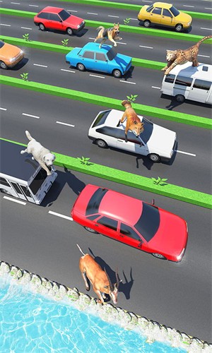 动物公路跳跃